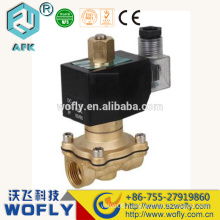 Brass two two-way 24vac solenoid valve n/o